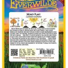 Limited Edition 50 Money Plant Wildflower Seeds Limited Edition 50 Money Plant Wildflower Seeds