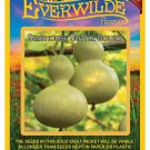 New Arrival 25 Birdhouse Bottle Gourd Seeds