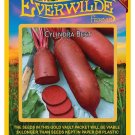 New Arrival 200 Cylindra Beet Seeds New Arrival 200 Cylindra Beet Seeds