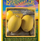 Best-Selling 1 Oz Vegetable Spaghetti Winter Squash Seeds Best-Selling 1 Oz Vegetable Spaghetti Winter Squash Seeds