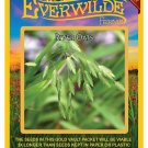 New Arrival 200 River Oats Native Grass Seeds