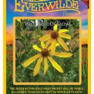 Exclusive 300 Wild Golden Glow Wildflower Seeds Exclusive 300 Wild Golden Glow Wildflower Seeds