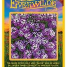 Exclusive 2000 Royal Carpet Sweet Alyssum Wildflower Seeds