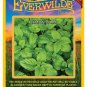 New Arrival 2000 Lemon Balm Herb Seeds