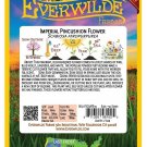 Exclusive 50 Imperial Mixed Pincushion Flower Wildflower Seeds Exclusive 50 Imperial Mixed Pincushion Flower Wildflower Seeds