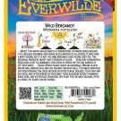 Premium 1 Oz Wild Bergamot Wildflower Seeds Premium 1 Oz Wild Bergamot Wildflower Seeds