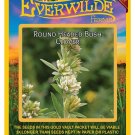 Top-Quality 300 Round Headed Bush Clover Wildflower Seeds
