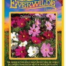 Best-Selling 500 Dwarf Mixed Cosmos Wildflower Seeds