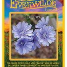 Premium 2000 Chicory Wildflower Seeds Premium 2000 Chicory Wildflower Seeds
