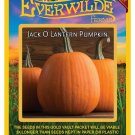 Limited Edition 40 Jack O Lantern Pumpkin Seeds