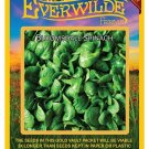 Limited Edition 1 Oz Bloomsdale Spinach Seeds Limited Edition 1 Oz Bloomsdale Spinach Seeds
