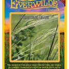 Exclusive 30 Porcupine Grass Native Grass Seeds