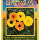 Premium 500 Fiesta Gitana Mixed Calendula Wildflower Seeds Premium 500 Fiesta Gitana Mixed Calendula Wildflower Seeds