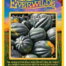 New Arrival 40 Table King Acorn Winter Squash Seeds New Arrival 40 Table King Acorn Winter Squash Seeds