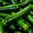 Limited Edition 1 Lb Dark Green Zucchini Summer Squash Seeds