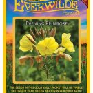Best-Selling 2000 Evening Primrose Wildflower Seeds