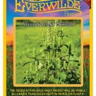 Limited Edition 1000 Yellow Giant Hyssop Wildflower Seeds Limited Edition 1000 Yellow Giant Hyssop Wildflower Seeds