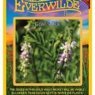 Premium 30 Goat's Rue Wildflower Seeds Premium 30 Goat's Rue Wildflower Seeds