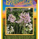New Arrival 200 Nodding Onion Wildflower Seeds New Arrival 200 Nodding Onion Wildflower Seeds