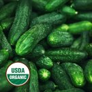 New Arrival 50 Organic Spacemaster Cucumber Seeds