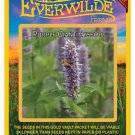 New Arrival 1000 Purple Giant Hyssop Wildflower Seeds New Arrival 1000 Purple Giant Hyssop Wildflower Seeds