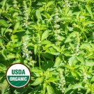 New Arrival 1000 Organic Lemon Basil Organic Herb Seeds New Arrival 1000 Organic Lemon Basil Organic Herb Seeds
