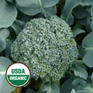 Best-Selling 250 Organic De Cicco Broccoli Seeds Best-Selling 250 Organic De Cicco Broccoli Seeds