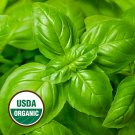 Premium 1000 Organic Genovese Basil Organic Herb Seeds Premium 1000 Organic Genovese Basil Organic Herb Seeds