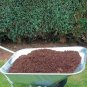 New Arrival HYDROPONIC GROWING MEDIA COCONUT FIBER coco coir natural peat greenhouse 5kg 5k