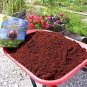 Premium SOILLESS COCOTEK COCONOT RIOCOCO NEOPIT COCO COIR COCONUT SUBSTRATE 30 kg 66 LB