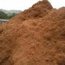 Limited Edition COCONUT COIR coco fiber peat Cactus plant cacti hydroponic soil 0.3 cu ft MED Limited Edition COCONUT COIR coco fiber peat Cactus plant cacti hydroponic soil 0.3 cu ft MED