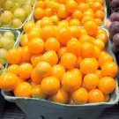 Premium Physalis Peruviana GOLDENBERRY Gooseberry berries groundcherry cherries 25 SEEDS Premium Physalis Peruviana GOLDENBERRY Gooseberry berries groundcherry cherries 25 SEEDS