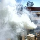 New Arrival 5 POUNDS SMOKER FUEL HONEY BEE KEEPING BEES HIVE SMOKE NATURAL PINE NEEDLES 5 lb New Arrival 5 POUNDS SMOKER FUEL HONEY BEE KEEPING BEES HIVE SMOKE NATURAL PINE NEEDLES 5 lb