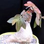 Top-Quality Phyllanthus Mirabilis, Caudiciform Phyllanthodendron caudex bonsai seed -5 SEEDS