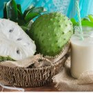 New Arrival SOURSOP 10 seeds, annona muricata FRESH/ORGANIC Graviola Guan New Arrival SOURSOP 10 seeds, annona muricata FRESH/ORGANIC Graviola Guan