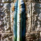 Exclusive RARE PILOSOCEREUS AZUREUS |exotic succulent cacti cactus plant seed 20 SEEDS