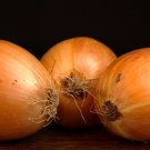 New Arrival YELLOW ONION - heirloom vegetable organic plant herb salad spice seed -100 seeds New Arrival YELLOW ONION - heirloom vegetable organic plant herb salad spice seed -100 seeds