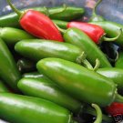 Top-Quality Jalapeno pepper hot chilli jalape Top-Quality Jalapeno pepper hot chilli jalape