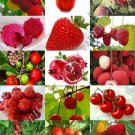 Limited Edition RED FRUITS MIX, rare organic edible COLORFUL fruit ""healthy heart"" seed 15 seeds Limited Edition RED FRUITS MIX, rare organic edible COLORFUL fruit ""healthy heart"" seed 15 seeds