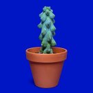 Best-Selling RARE Myrtillocactus geometrizans -fukurokuryuzinboku-(BOOBIE cactus)20 SEEDS Best-Selling RARE Myrtillocactus geometrizans -fukurokuryuzinboku-(BOOBIE cactus)20 SEEDS