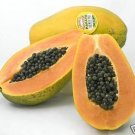 Best-Selling Papaya caribean sunrise, sweet red flesh edibletropical fruit seed 100 SEEDS Best-Selling Papaya caribean sunrise, sweet red flesh edibletropical fruit seed 100 SEEDS