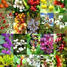 Top-Quality FLORIDA NATIVE BERRIES MIX, rare coast plum fruit WILD BERRY wood seed -15 seeds