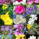 Limited Edition SPRING FLOWERING PLANTS MIX wild flower blooming garden plant yard seed 25 seeds Limited Edition SPRING FLOWERING PLANTS MIX wild flower blooming garden plant yard seed 25 seeds