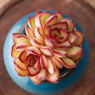 Exclusive ECHEVERIA PULIDONIS rare succulent exotic hen and chicks plant seed 50 SEEDS Exclusive ECHEVERIA PULIDONIS rare succulent exotic hen and chicks plant seed 50 SEEDS