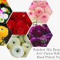 New Arrival 50 RANUNCULUS MIXED SHADES BULBS