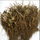New Arrival 20 Seascape Everbearing Strawberry Plants New Arrival 20 Seascape Everbearing Strawberry Plants