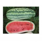 Premium Giant Jubilee Watermelon Seeds for Planting | Non-GMO | Heirloom Garden Seed USA