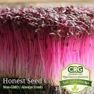 Premium Red Garnet Amaranth MICROGREEN Herb Sprouting Seeds | Non-GMO Garden Seeds Premium Red Garnet Amaranth MICROGREEN Herb Sprouting Seeds | Non-GMO Garden Seeds