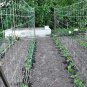 Top-Quality 5 ft x 15 ft Trellis Plant Netting | Indoor or Outdoor Garden Netting