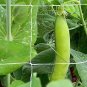 Top-Quality 5 ft x 15 ft Trellis Plant Netting | Indoor or Outdoor Garden Netting